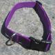 Nylon Dog Collar Adjustable 1-inch Purple