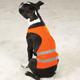 Guardian Gear Reflective Safety Vest for Medium Dog