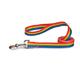 Casual Canine Rainbow Pride Dog Leash 4-foot x 5/8-inch