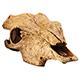 Exo Terra Buffalo Skull Terrarium Ornament