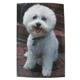 Robert McClintock Licensed Garden Flag Bichon Frise 