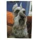 Robert McClintock Licensed Garden Flag Schnauzer