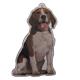 Air Freshener 3 Pack Beagle