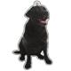 Air Freshener 3 Pack Black Labrador