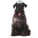 Air Freshener 3 Pack Schnauzer