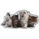 Air Freshener 3 Pack Kittens