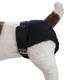 Sanitary Pants Garment for Female Dogs in Heat Large