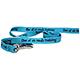 Printed Dog Leash 5-foot x 1inch One of us needs training