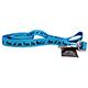 Printed Dog Leash 5-foot x 1inch One of us has no Balls
