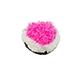 Sushi Curly Roll Magenta Catnip Cat Toy