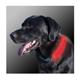 Nite Dawg LED Collar Cover Pink for Dog Collars