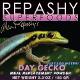 Repashy Day Gecko Meal Replacement Powder 5.3oz