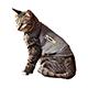 Thundersirt for Cats Medium Grey Anti-Anxiety Garment