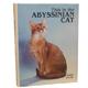 Abyssinian This Is The by Kate Faler