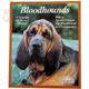 Bloodhounds Complete Pet Owner's  Manual