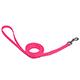 Nylon Dog Leash 3/8-inch x  6 foot Neon Pink