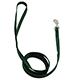 Nylon Dog Leash 3/8-inch x  6 foot Green