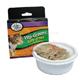 Kitty Vita-Greens Grass Seed for Cats