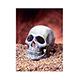 Skull Aquarium Ornament