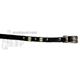 Spiked Dog Collar Black 8 x 3/8 inch