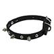 Spiked Dog Collar Black 10 x 3/8 inch