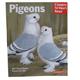 Pigeons Complete Pet Owner's Manual