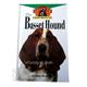 Basset Hound, Owner's Guide to a Happy Healthy Pet