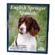 English Springer Complete Pet Owner's Manual