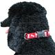 Nylon Dog Collar Adjustable 1-inch Bone Red