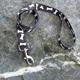 Nylon Dog Leash 1-inch x 6 foot Bone Black