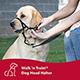Halti Dog Training Halter #1 Headcollar