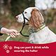 Holt Dog Training Halter #0 Headcollar