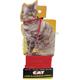 Cat Lead and Harness Red