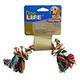 Rope Bone Small Color Dog Toy