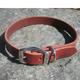 Circle T Latigo Single Layer Leather Dog Collar 22 inch