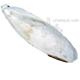 Cuttlebone Bulk Jumbo