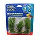 Willowmoss 3 pod Plastic Aquarium Plant