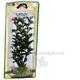 Ludwigia Small Plastic Aquarium Plant