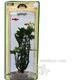 Butterfly Medium Plastic Aquarium Plant