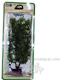 Stonewort Medium Plastic Aquarium Plant