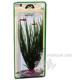 Hair Grass Medium Plastic Aquarium Plant