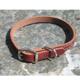 Circle T Latigo Single Layer Leather Dog Collar 10 inch