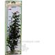 Ludwigia Xlarge Plastic Aquarium Plant