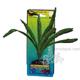 Crispus Sword Medium Plastic Aquarium Plant