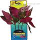 Hygrophila Medium Plastic Aquarium Plant