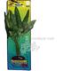 Arrowhead Large Plastic Aquarium Plant