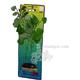 Cardamine Large Plastic Aquarium Plant