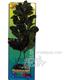 Rotala Serrate Large Plastic Aquarium Plant
