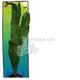 Crispus Sword XLarge Plastic Aquarium Plant