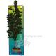 Tropical Fern XLarge Plastic Aquarium Plant